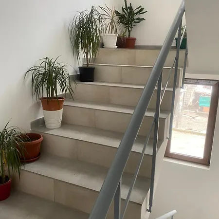 анелия בית הארחה ספרבה בניה