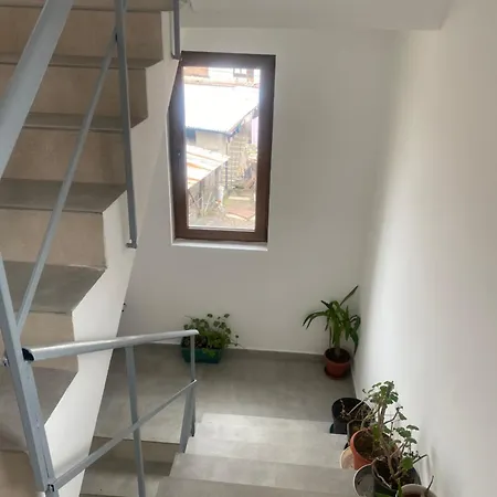анелия בית הארחה ספרבה בניה